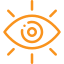Vision